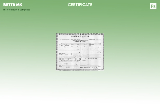 модерен стил САД Канцеларијата на бракот регистар потврда за шаблон за брак